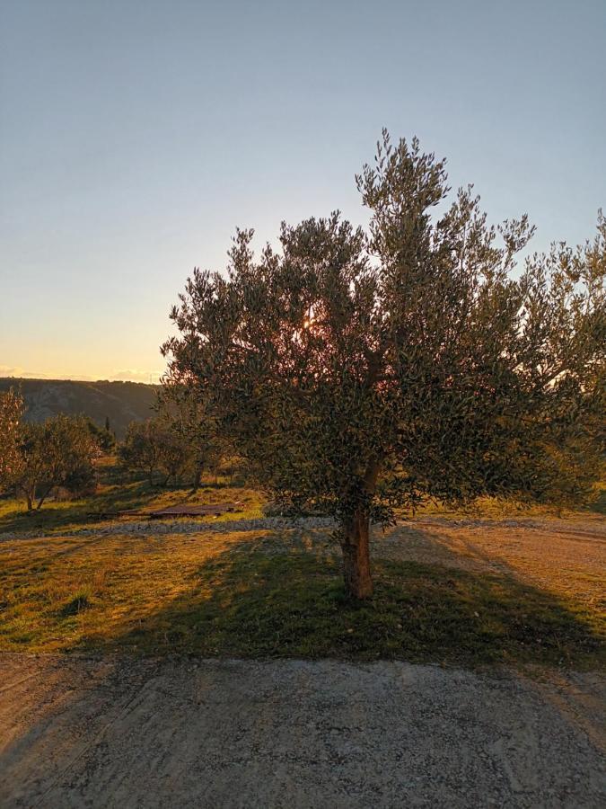 Apartman Skradin Esterno foto